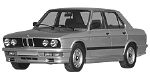BMW E28 B245E Fault Code
